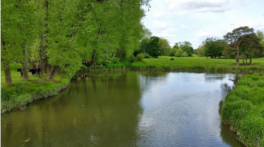 The river ARUN - Malcolm Oakley